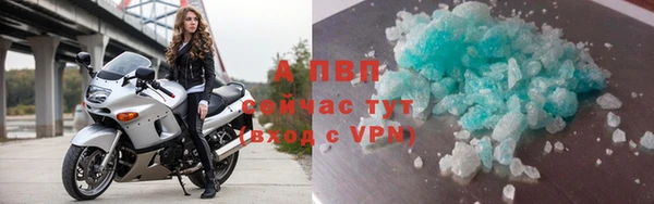 тгк Богородск