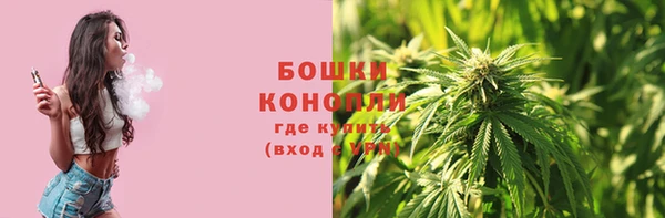 тгк Богородск