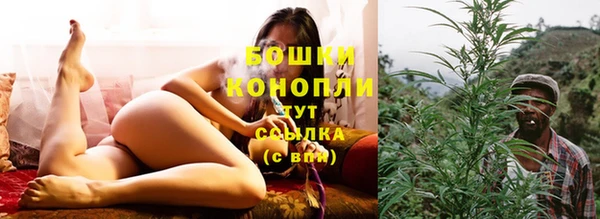 бошки Богданович